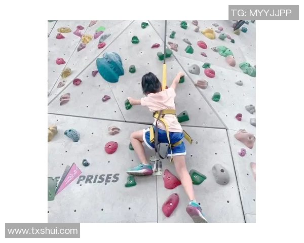 杭州攀岩队个人能力深度解析与训练方法探讨