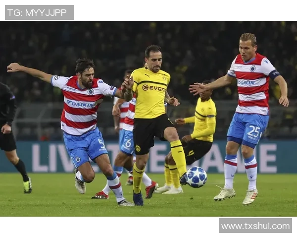 多特蒙德对阵布鲁日精彩视频直播全程回顾与分析